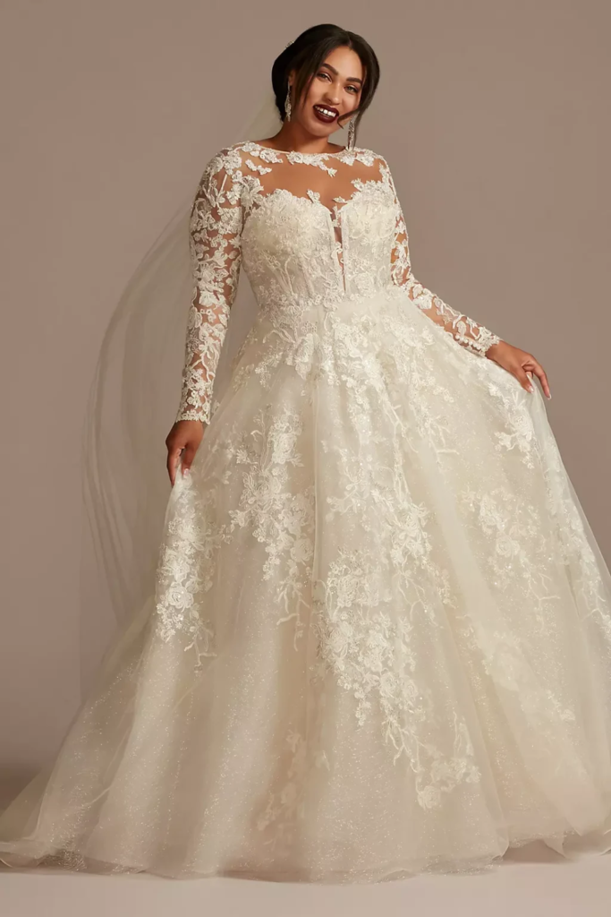 Illusion Lace Ball Gown